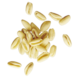 HANDMADE CAVATELLI 500GR