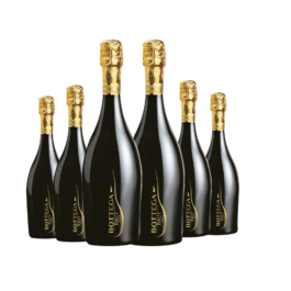 Bottega Brut Millesimato X 6BTL