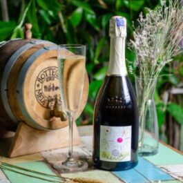 BOTTEGA BOLLICINE PROSECCO DOC EXTRA DRY